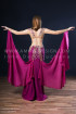 Professional bellydance costume (classic 172a)